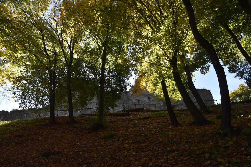 Kapušiansky hrad