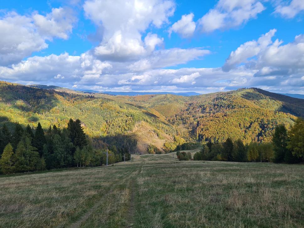 Cestička pod lanovkou