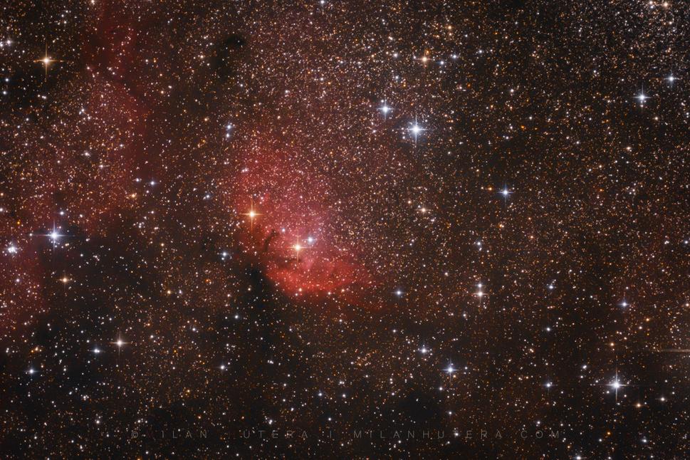 Hmlovina SH2-101 nazývaná "Tulipán" v súhvezdí Labuť. V tesnej blízkosti sa nachádza objekt Cygnus X-1, prvý objekt identifikovaný ako čierna diera. Klik pre zväčšenie.