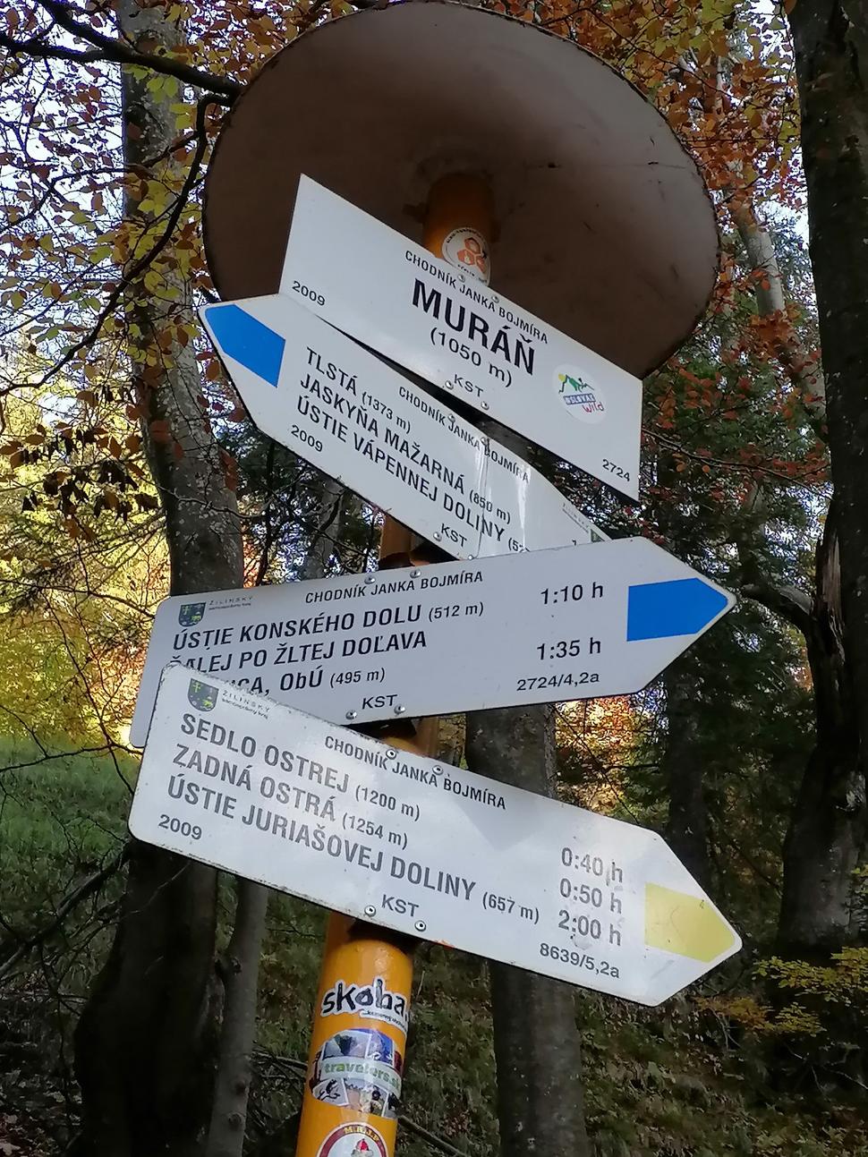 Obrázok blogu