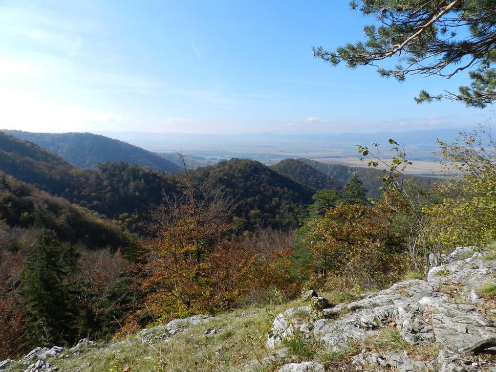 Obrázok blogu
