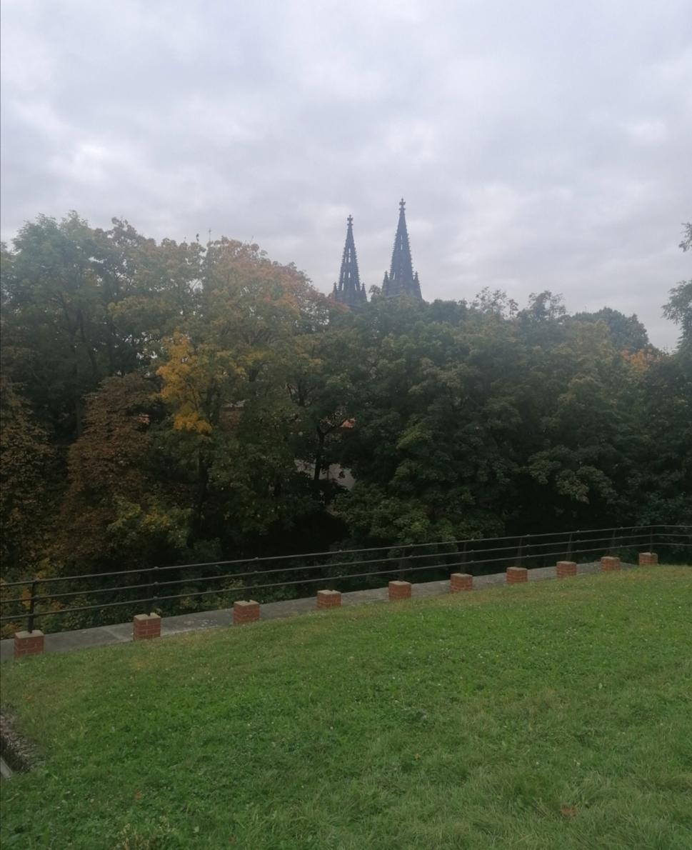 Obrázok blogu