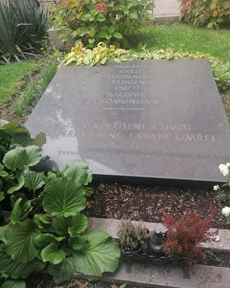 Obrázok blogu