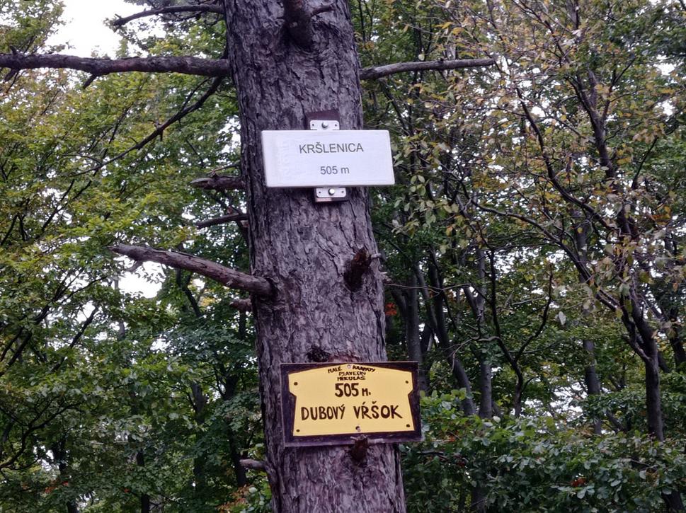 Obrázok blogu