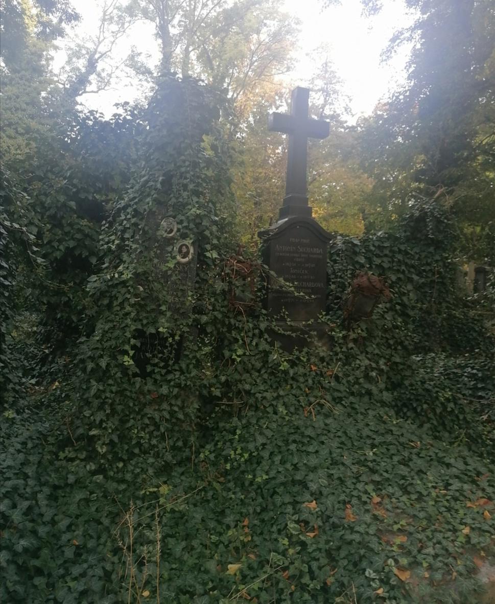Obrázok blogu
