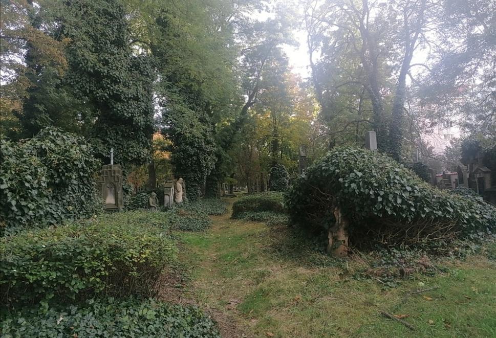 Obrázok blogu