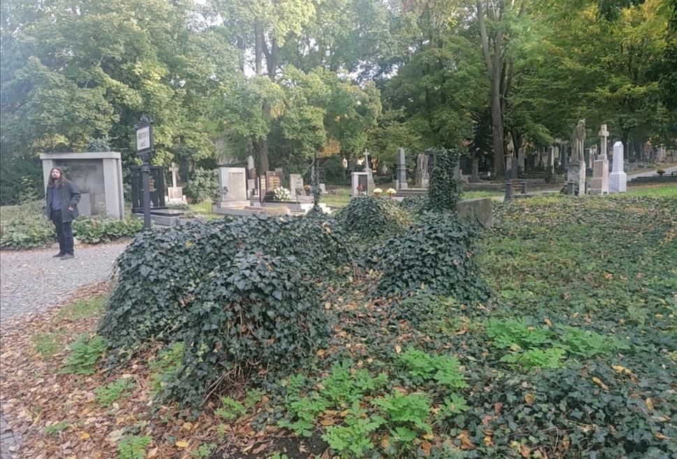 Obrázok blogu