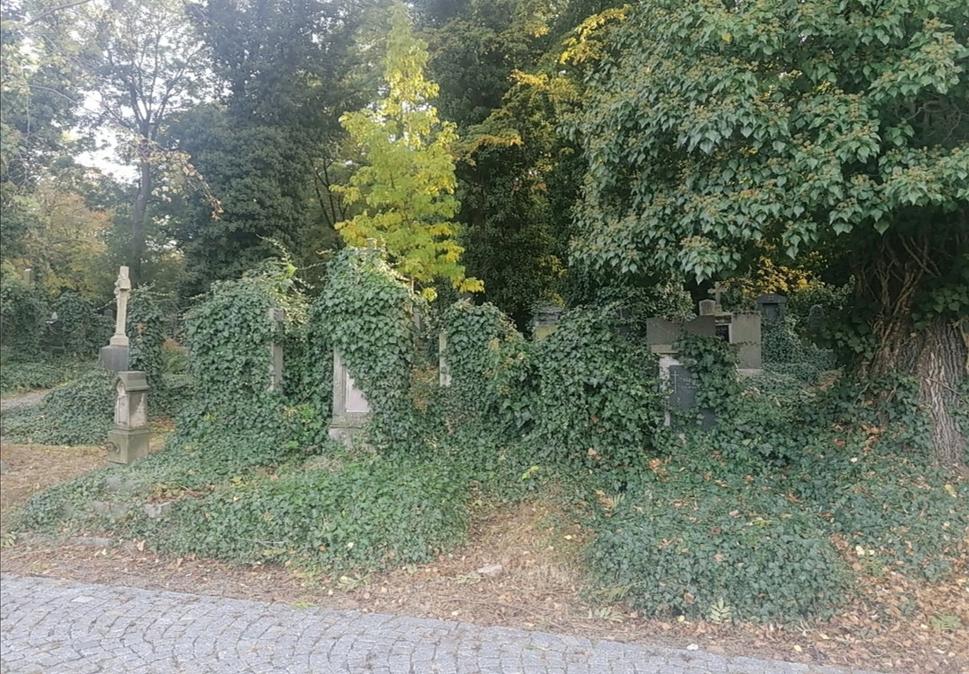 Obrázok blogu