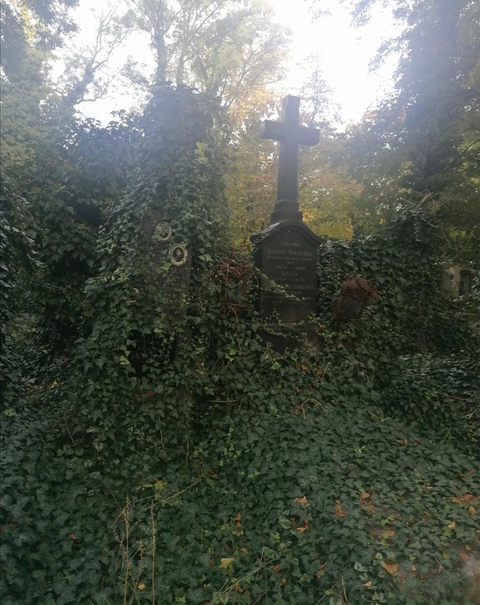žeby si plazivec na kríž netrúfol?