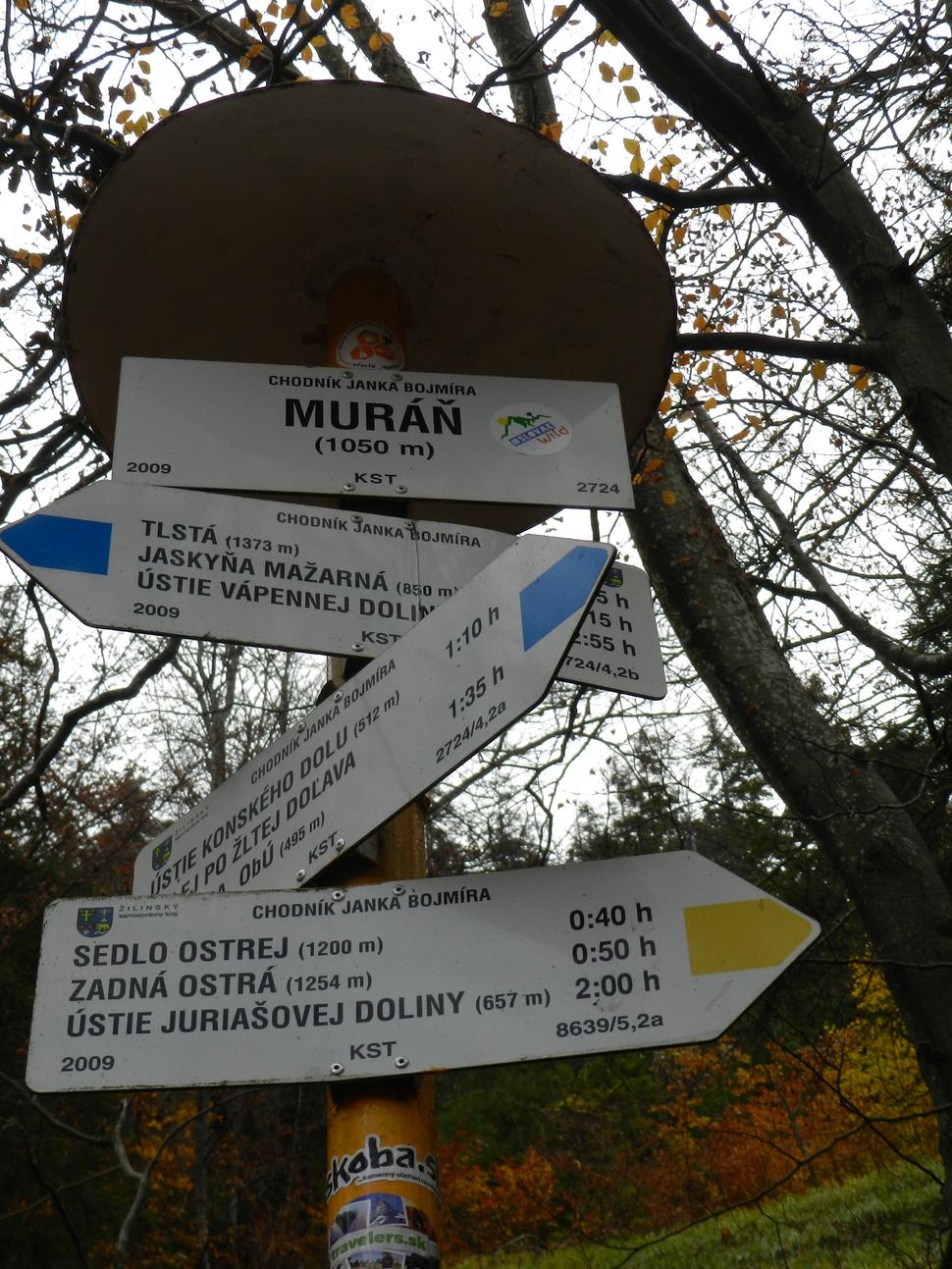 Obrázok blogu