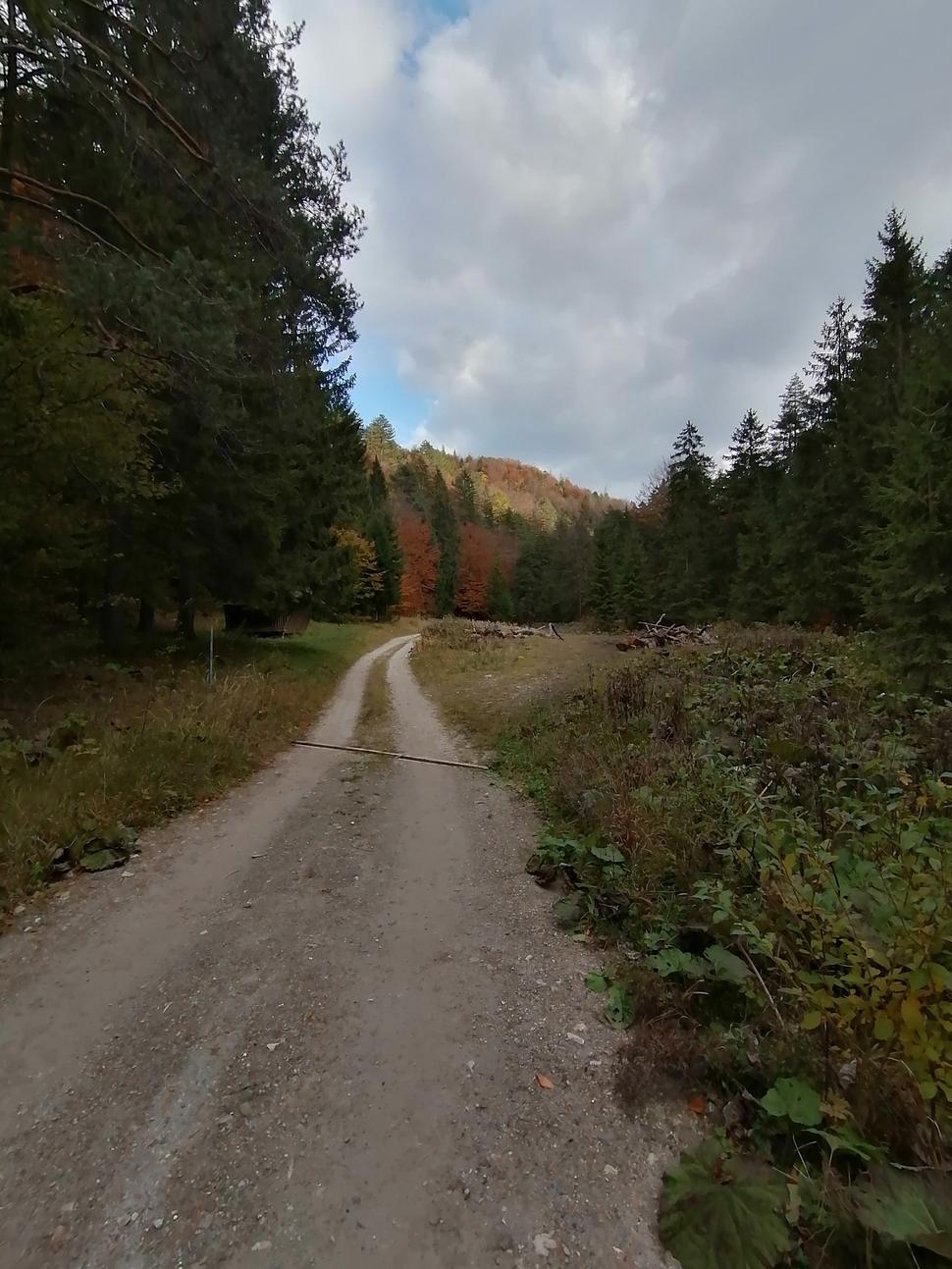 Obrázok blogu