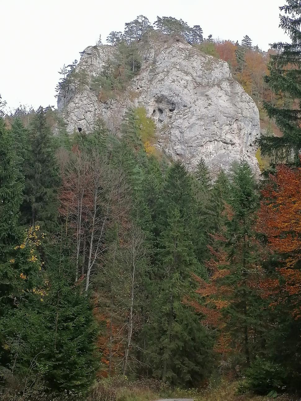 Obrázok blogu