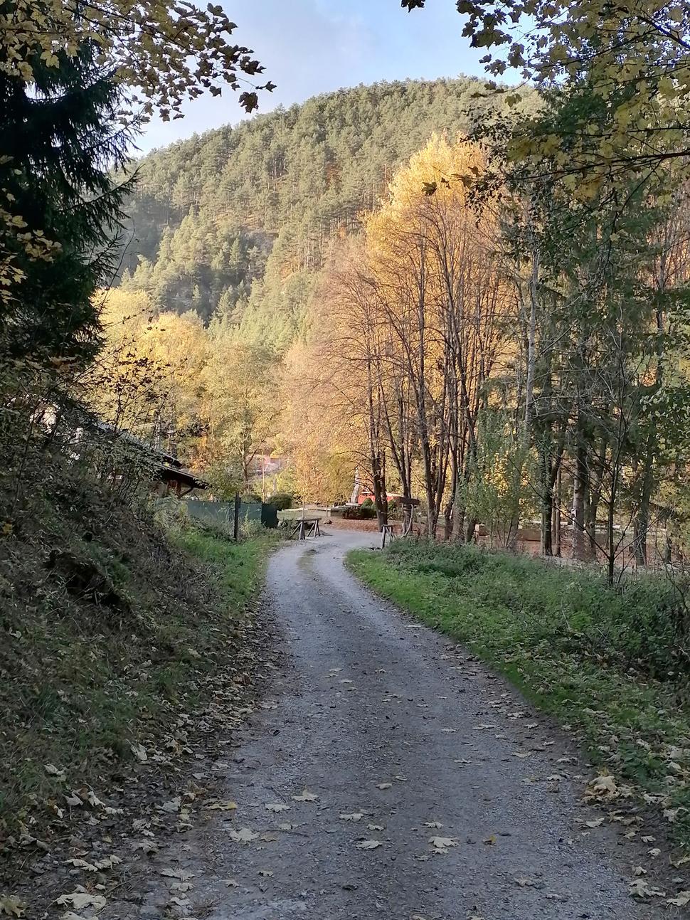 Obrázok blogu