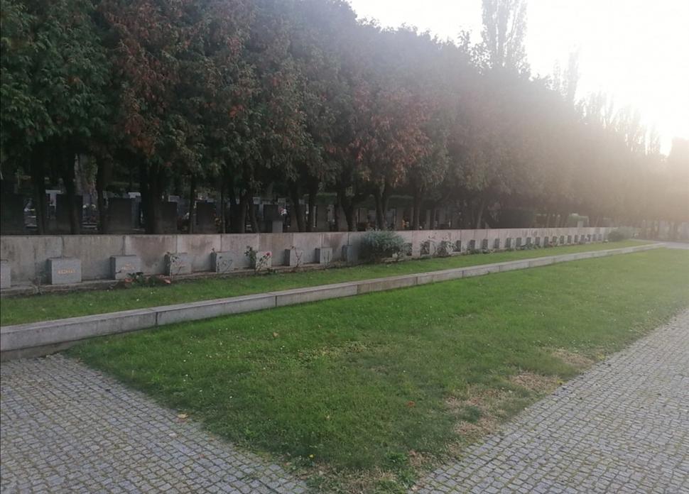 Obrázok blogu