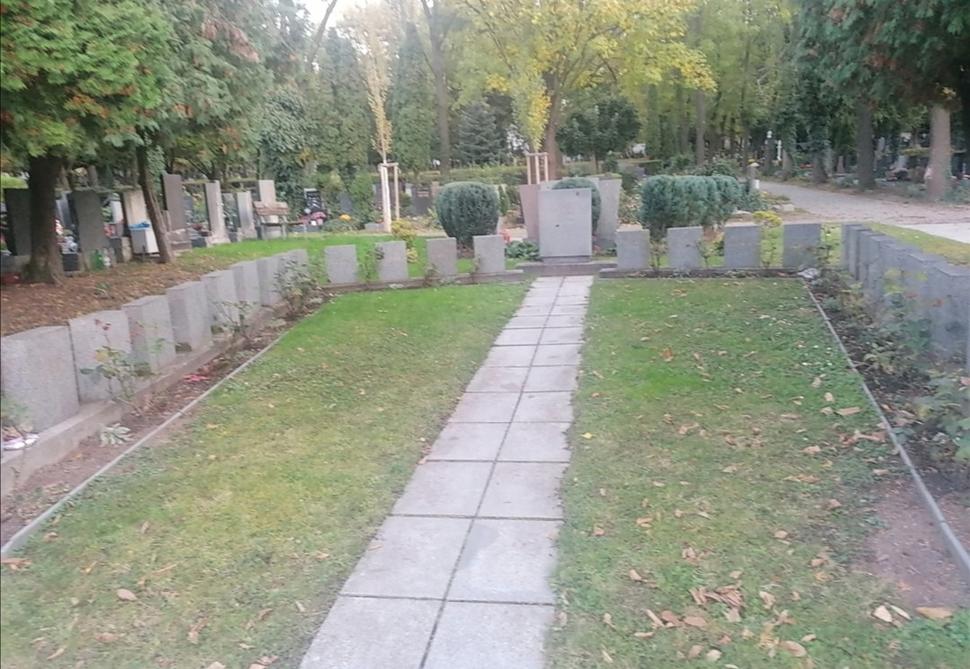 Obrázok blogu