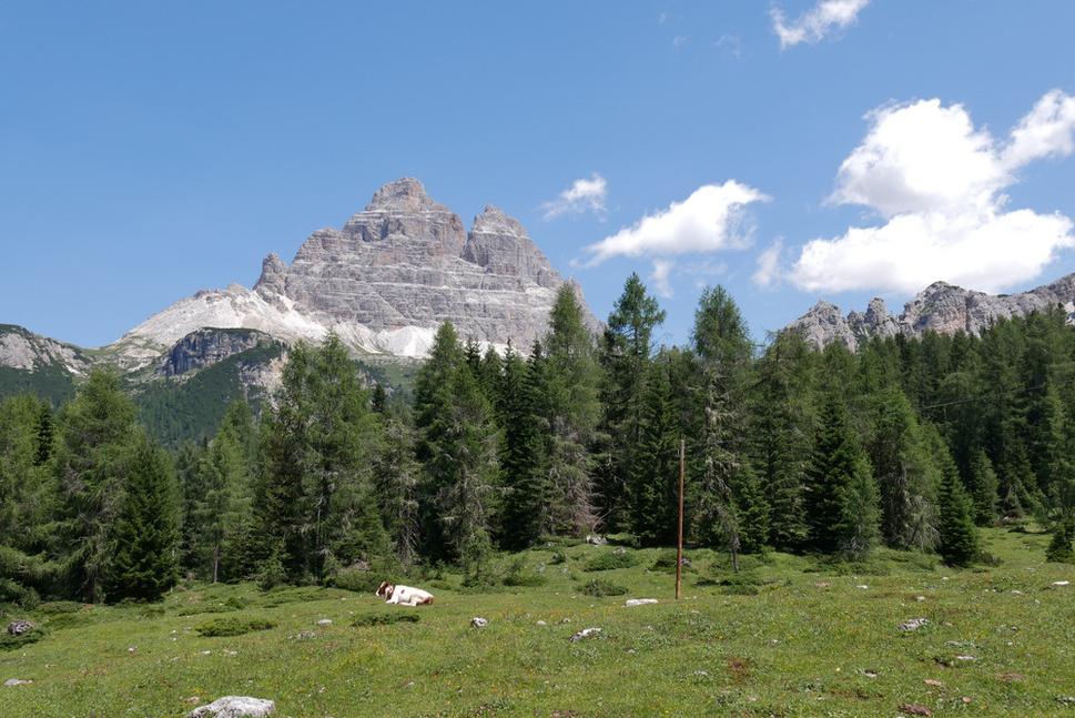 Dolomity