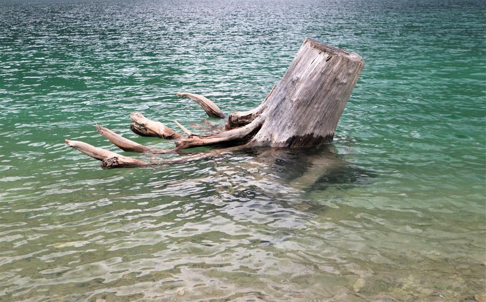Lago del Predil
