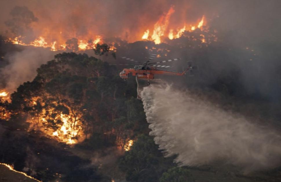 Austráliu pustošia požiare. Klimatické zmeny katastrofu urýchlili, ale pri hľadaní jej príčin a riešení sa netreba unáhliť.