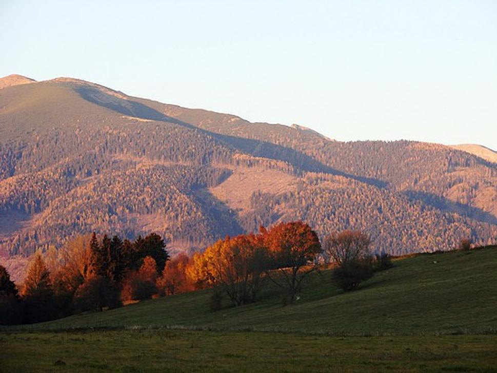 Obrázok blogu