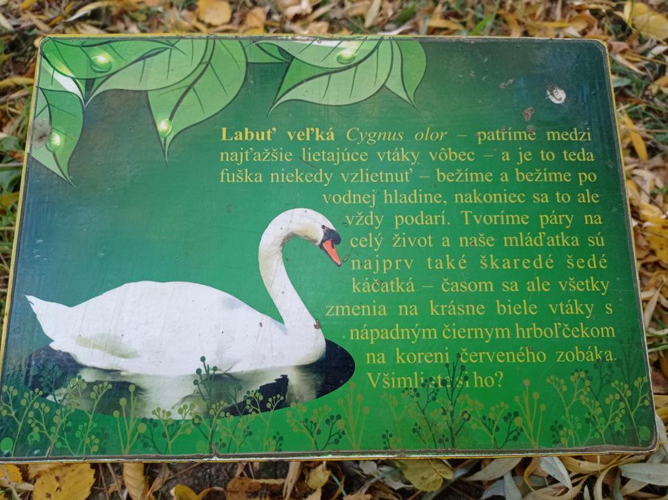 Obrázok blogu