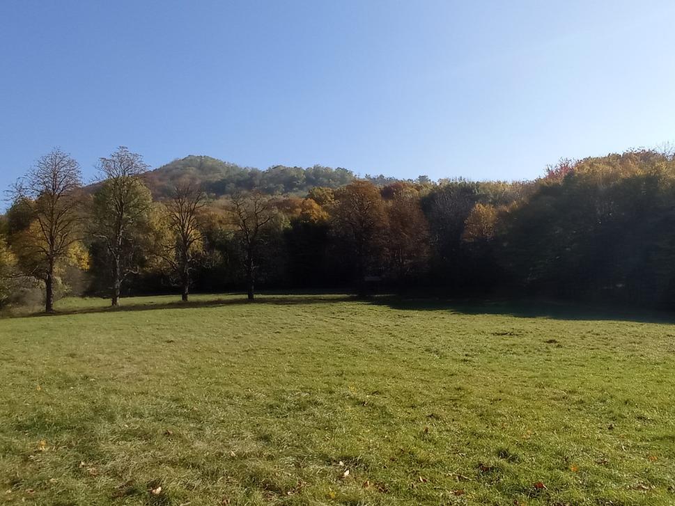 Vrch Prístodolok (596m).