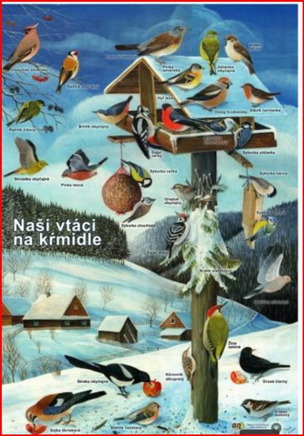 Obrázok blogu