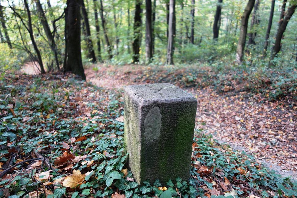 Obrázok blogu