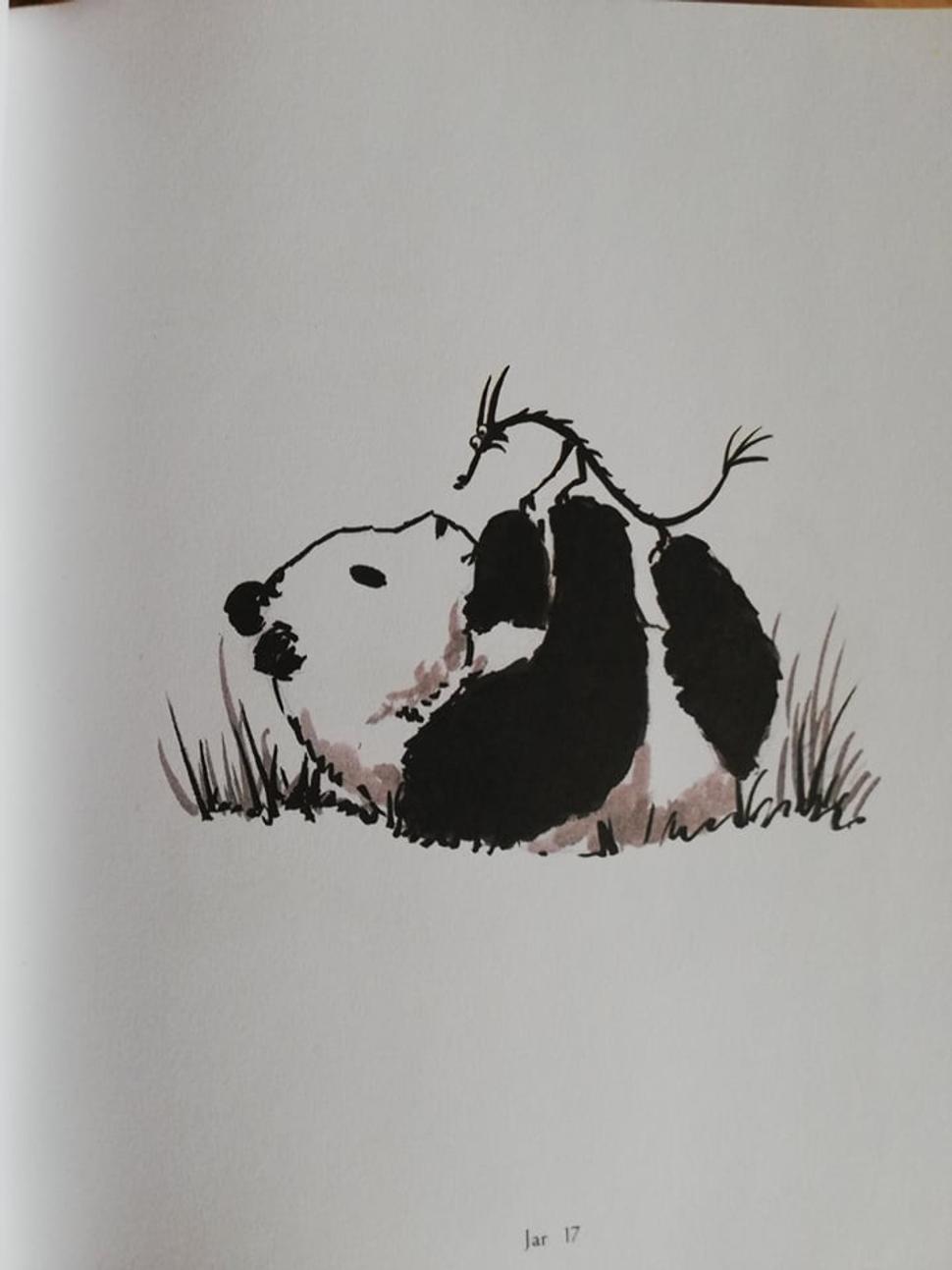 Veľká panda a malý drak