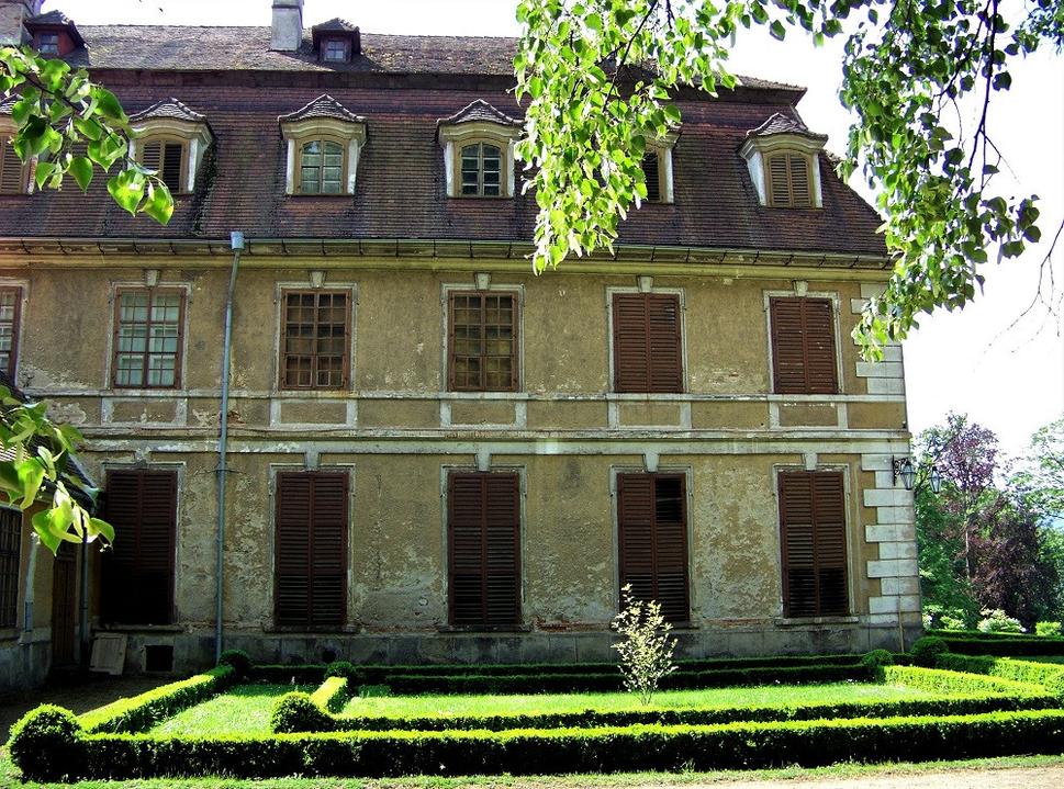 Obrázok blogu