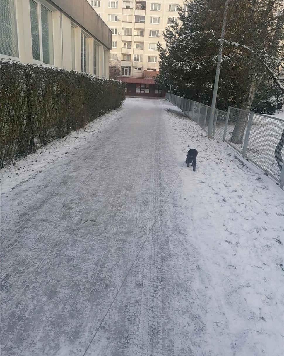 Obrázok blogu
