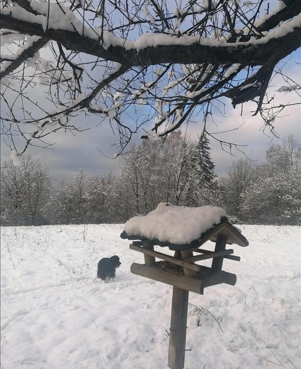 lesná reštika (okienkový výdaj)