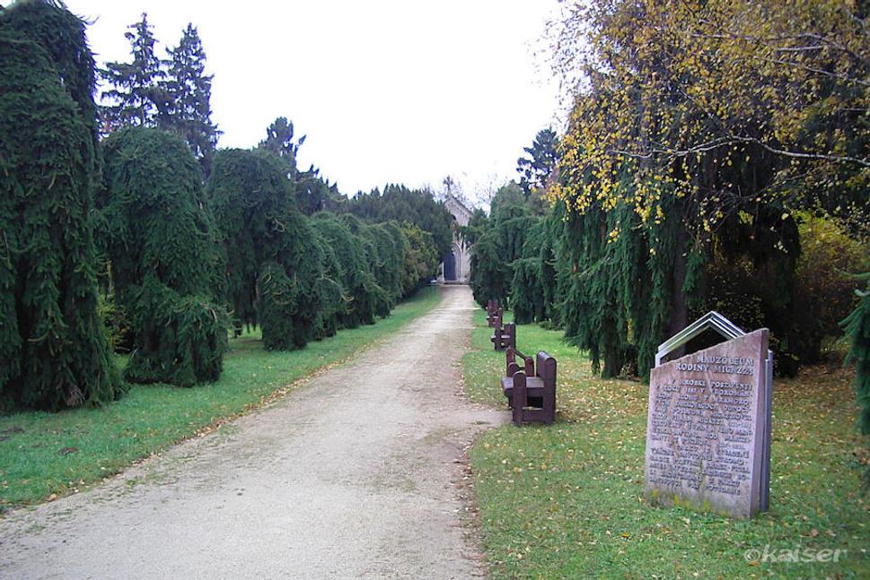 Obrázok blogu