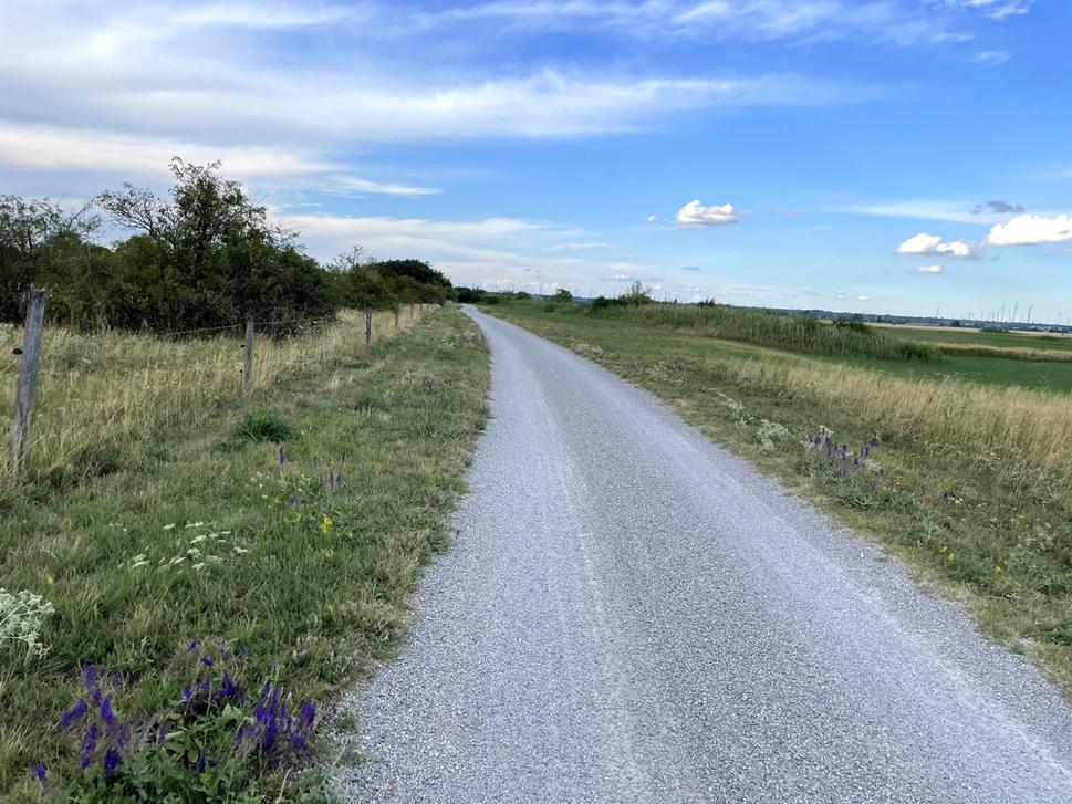 Šotolina do Neusiedlu