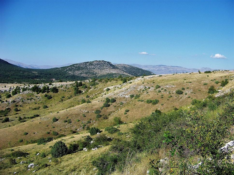 Obrázok blogu