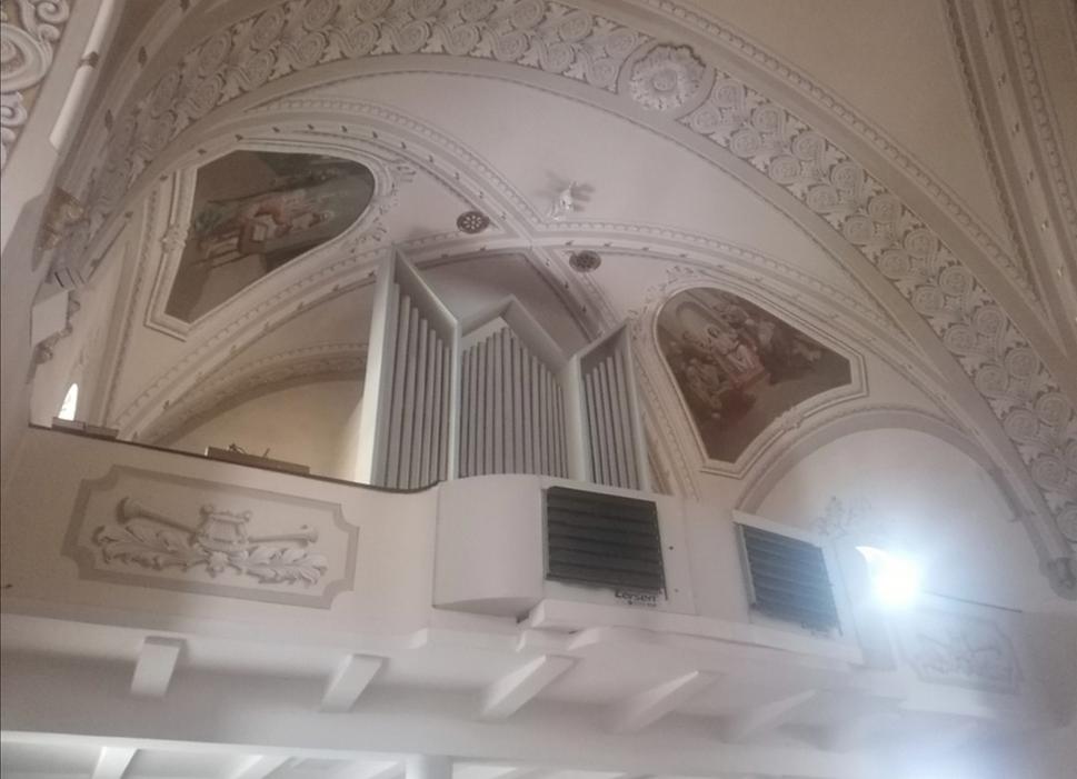 organ