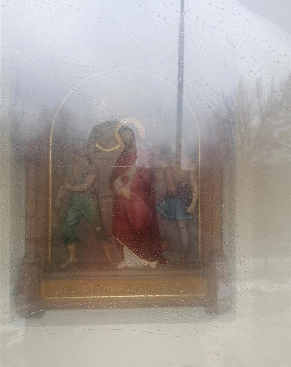 fotky výjavov za sklom boli v mizernej kvalite