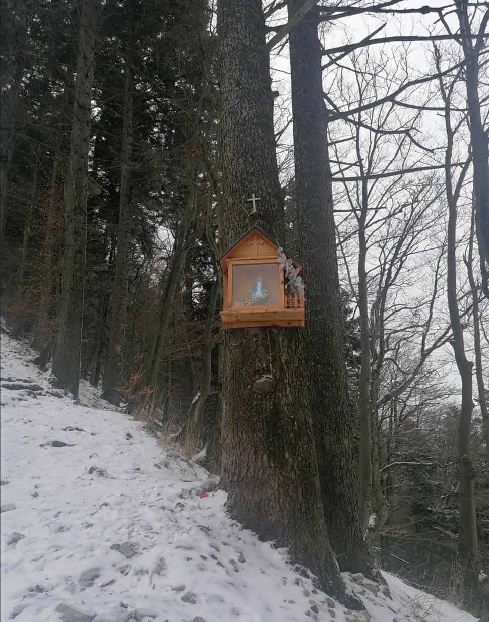 Obrázok blogu