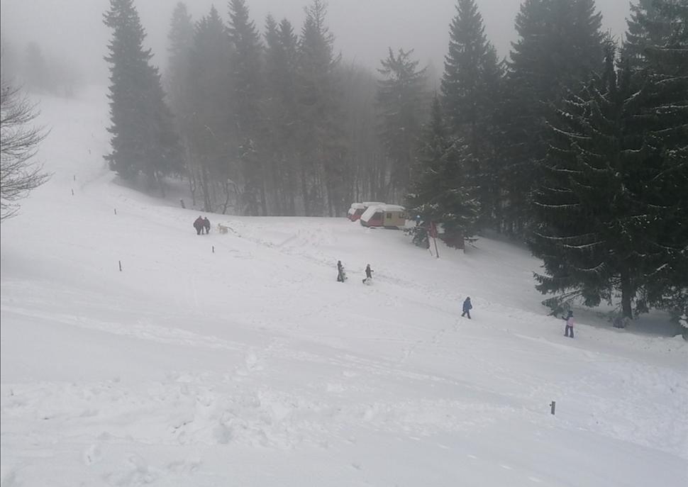zaviate ratraky... A ľudia!