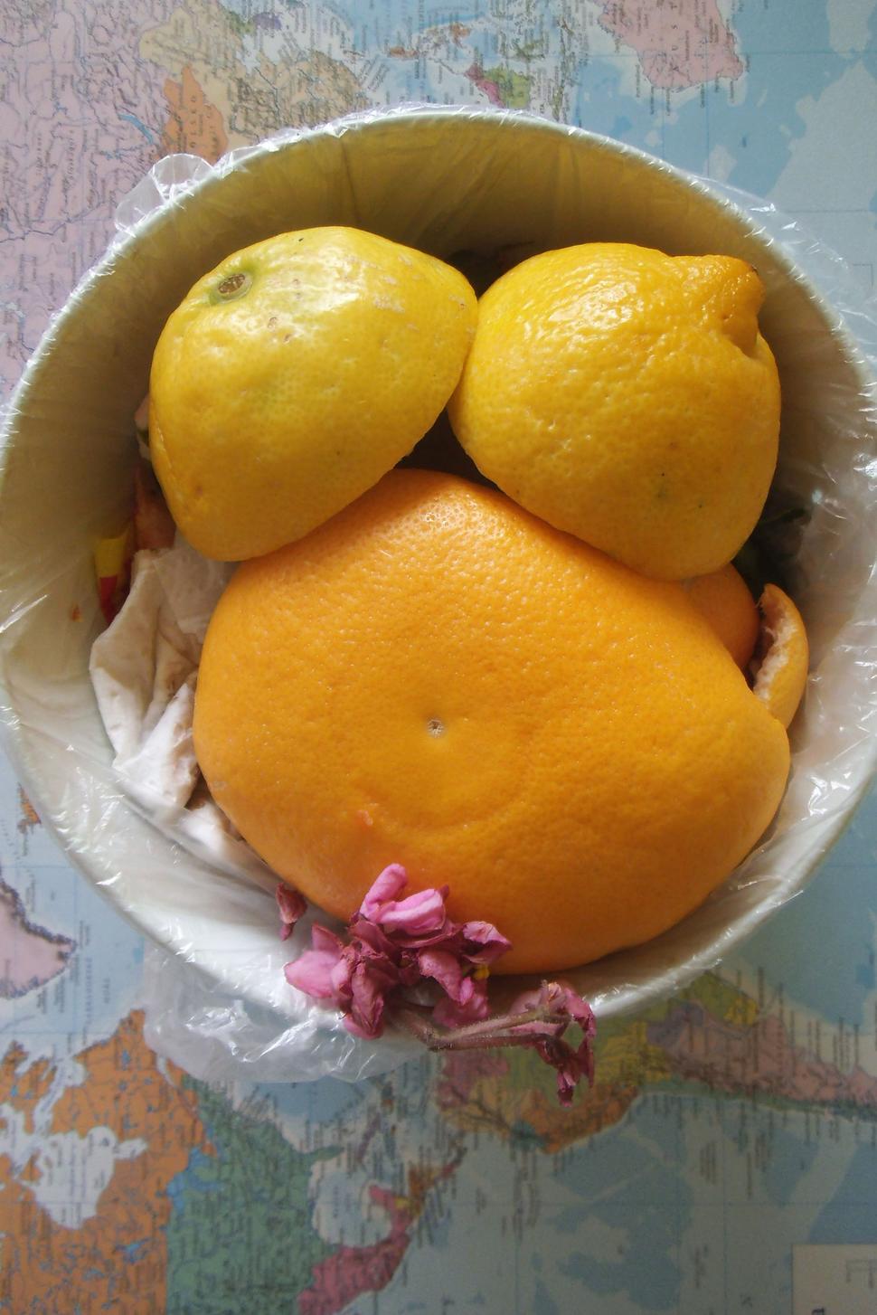 Obrázok blogu