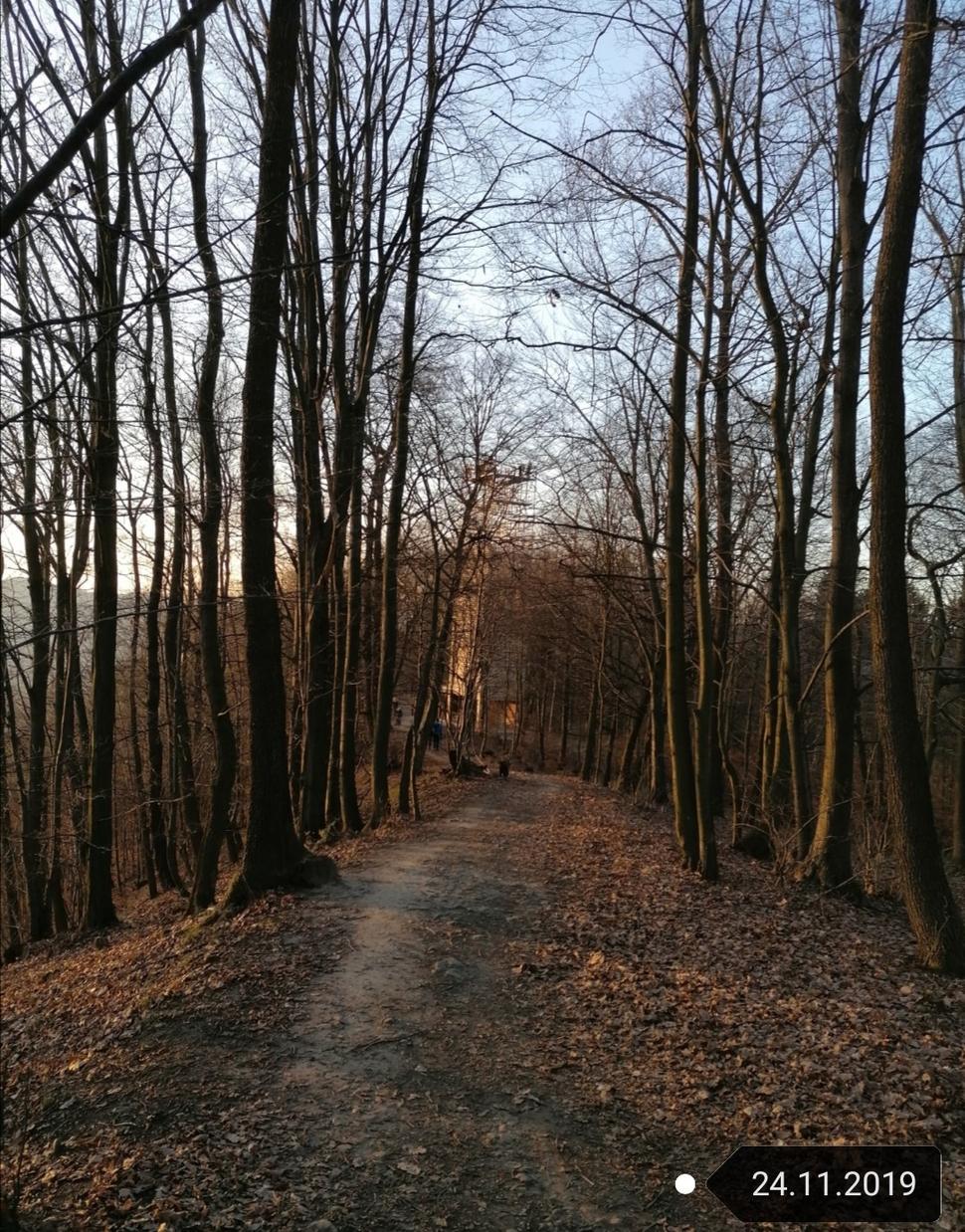 cesta