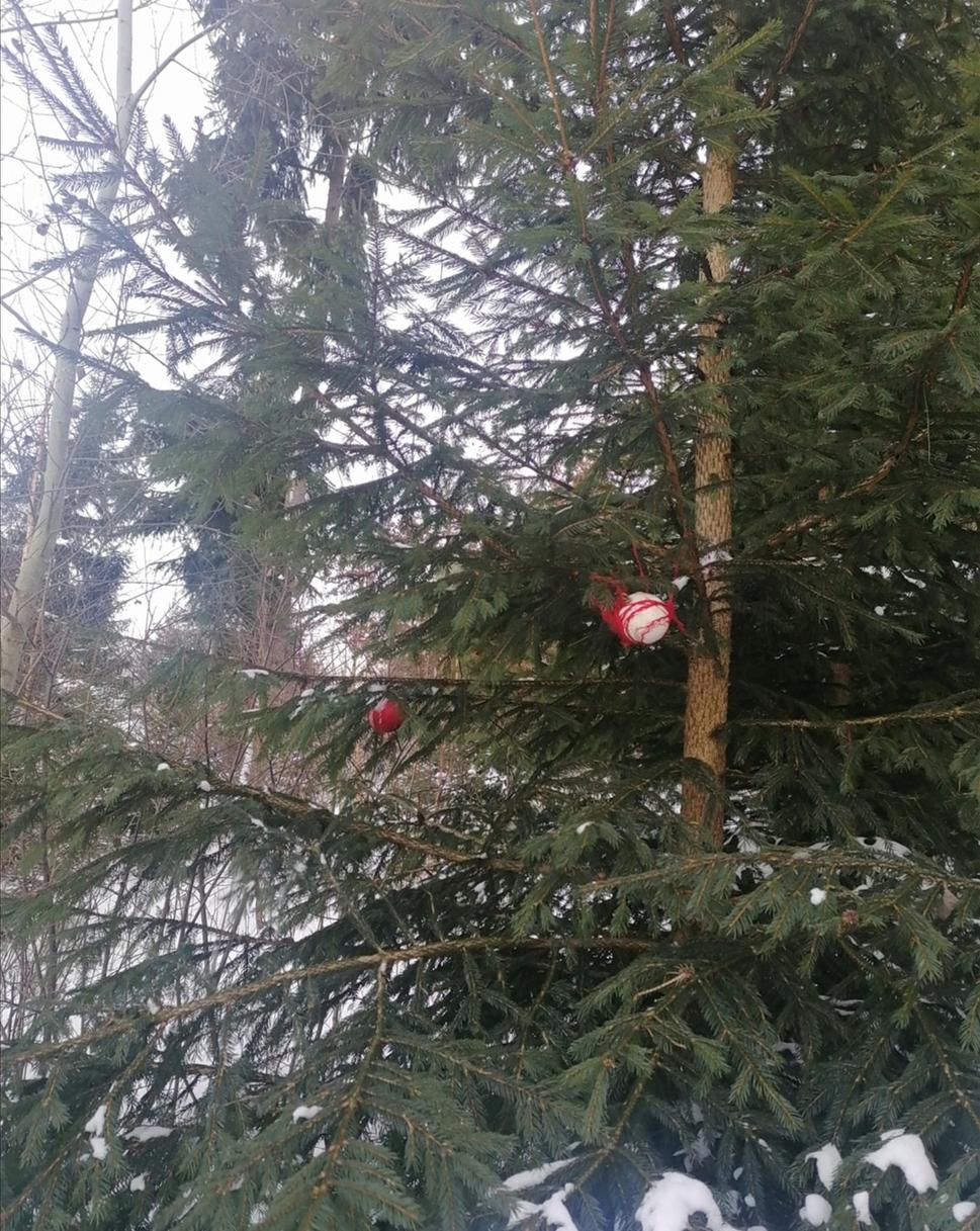 posledné tri gule. Nahryznuté zubom času.
