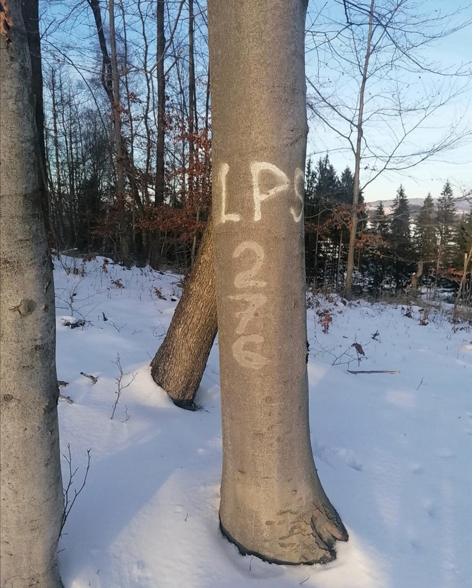 (jeden aj s ešpézetkou :-)
