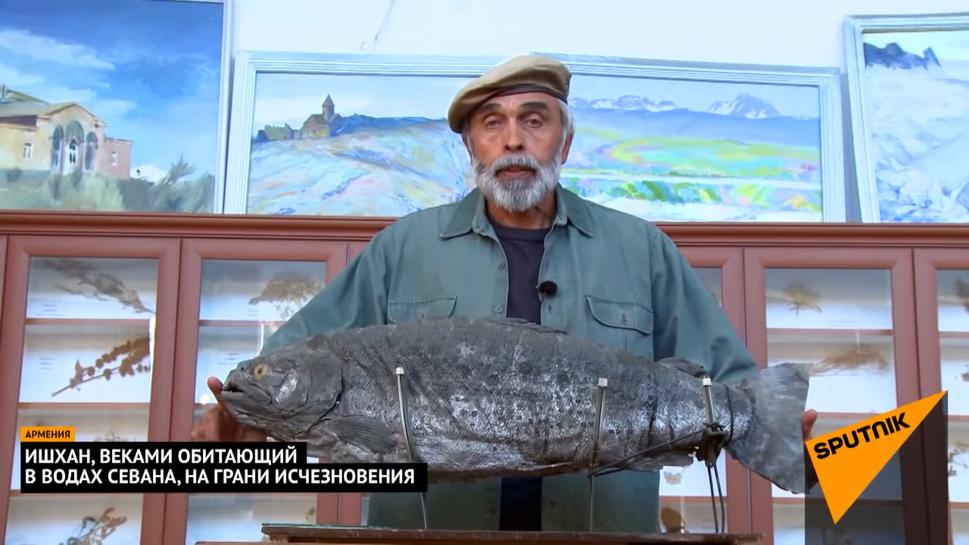 Uvidíte tiež, že pstruh Išchan môže skutočne dorásť až do dĺžky 1 meter.