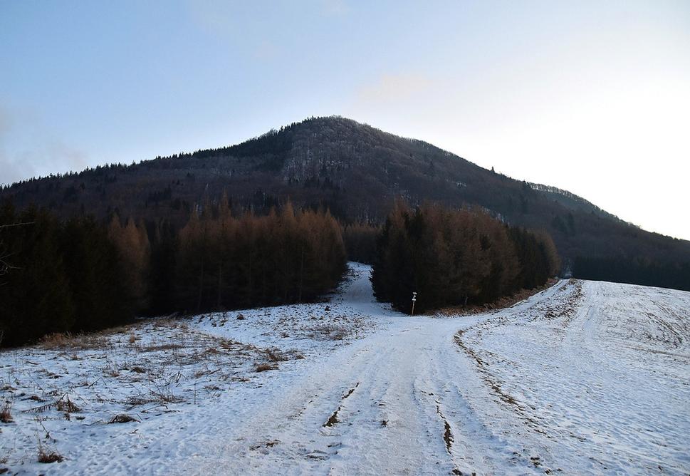 Reváň
