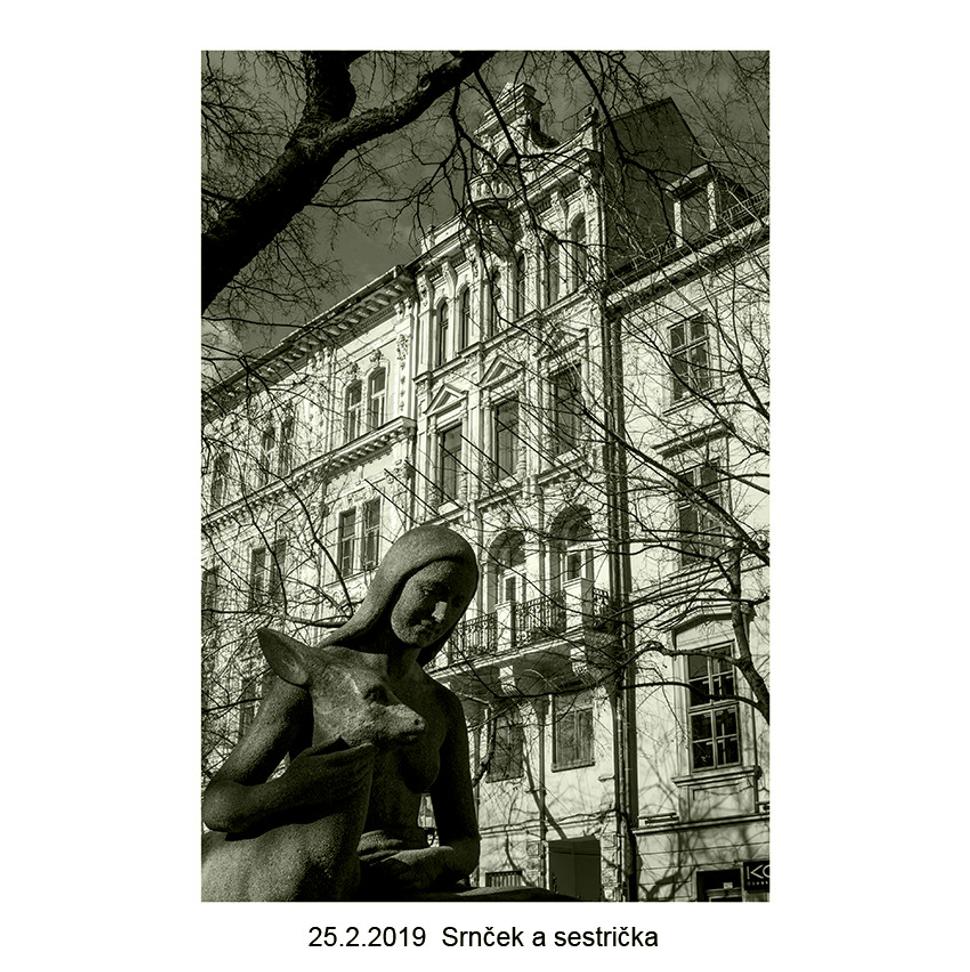 Obrázok blogu