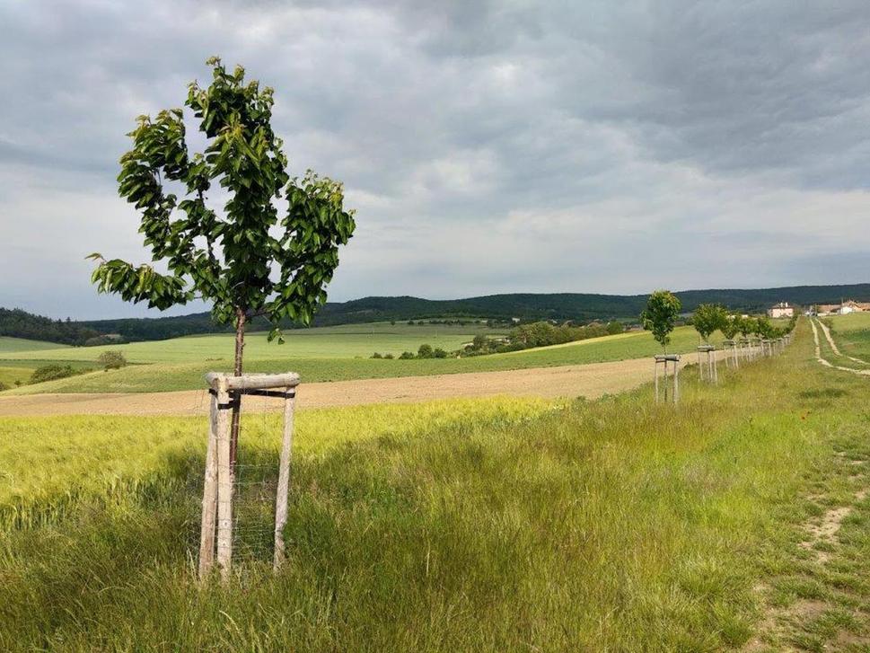 Obrázok blogu