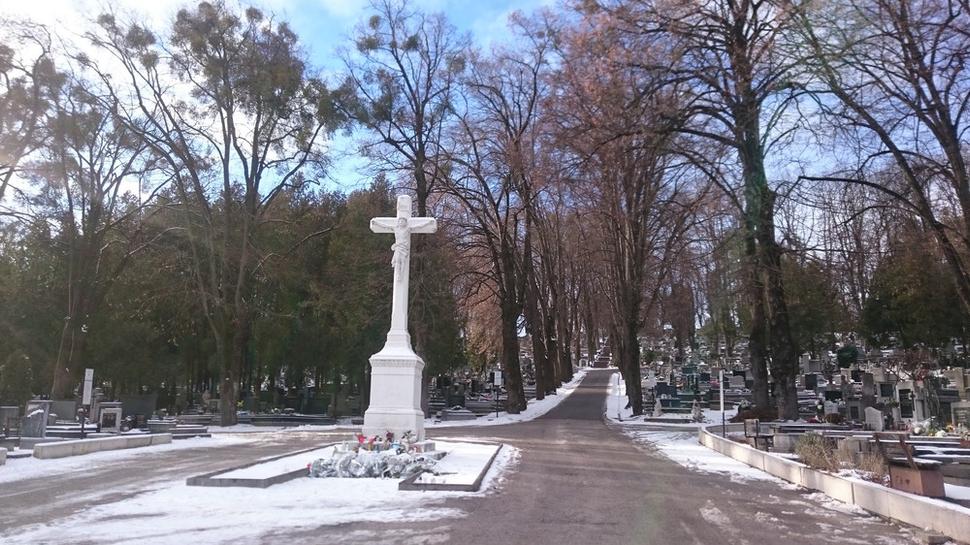 Cintorín Jan 2022