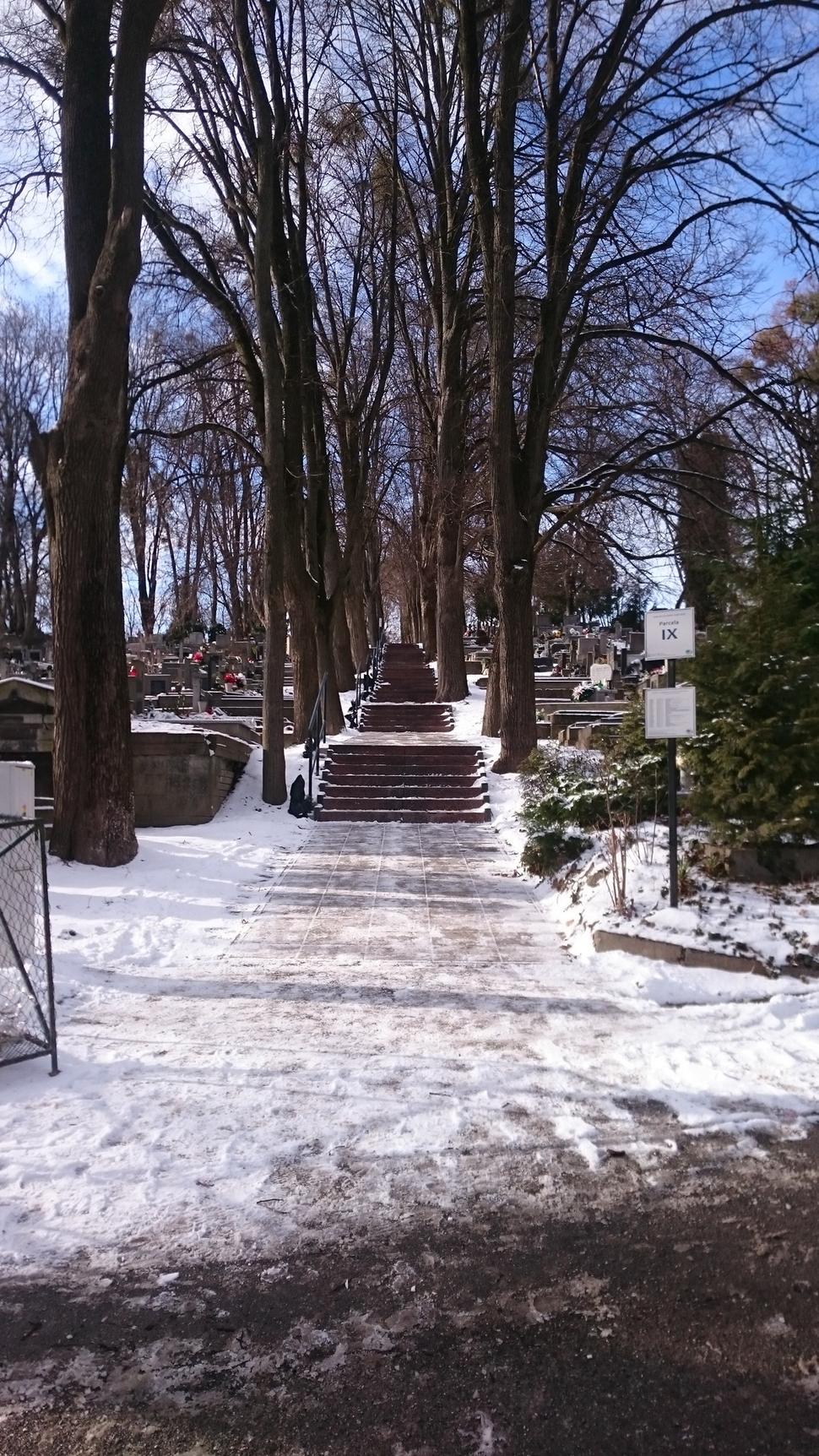 Schodisko Jan 2022