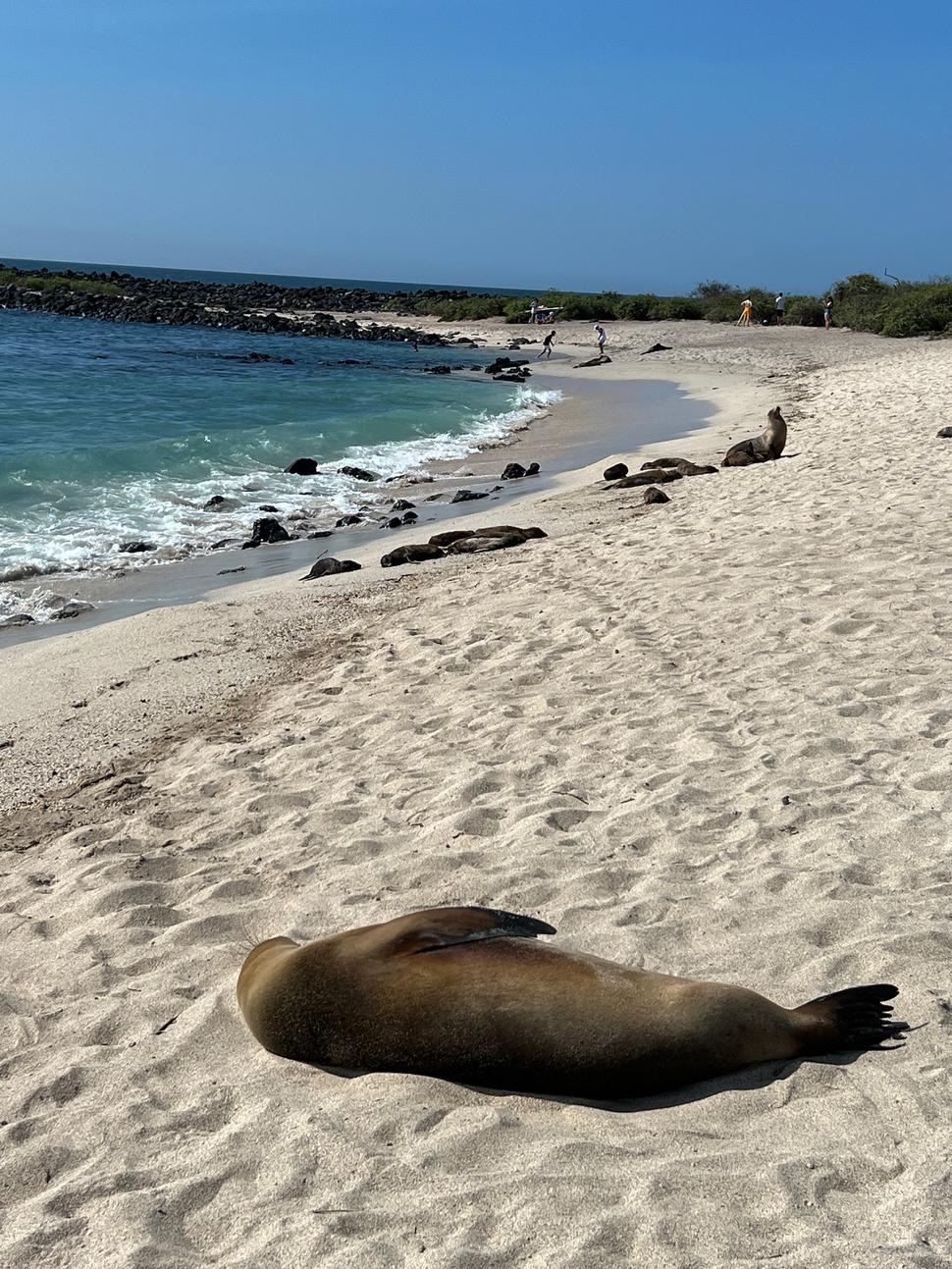 Playa Punta Carola na ostrove San Cristóbal.