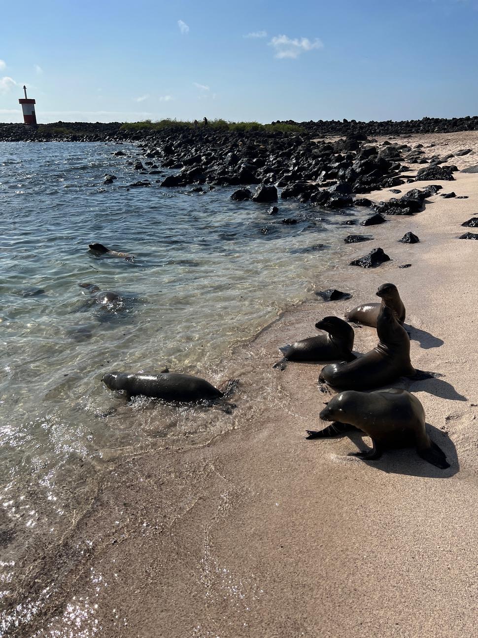 Playa Punta Carola na ostrove San Cristóbal.